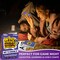 QUOKKA History Trivia Family Game - Card Board Game for Kids Ages 8-12 & Adults - Educational Questions | Easy to Learn | Fast Paced - Fun Learning Quiz for Road Trip